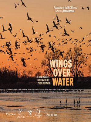 cover image of Wings Over Water